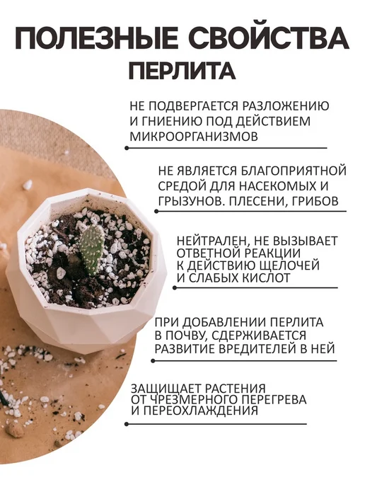Zeriazor Перлит для растений 4 л, 4 л, фото 2