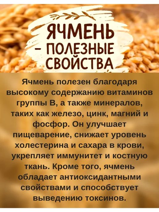 Ячмень для проращивания, отваров, 250 грамм, вариант, фото 4
