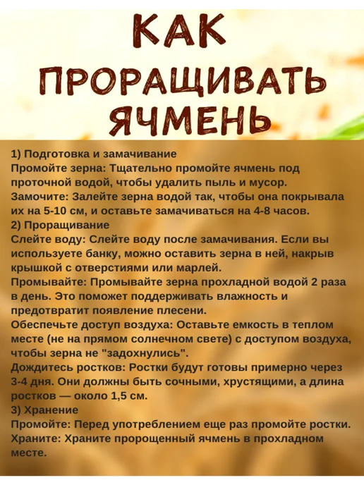 Ячмень для проращивания, отваров, 250 грамм, вариант, фото 5