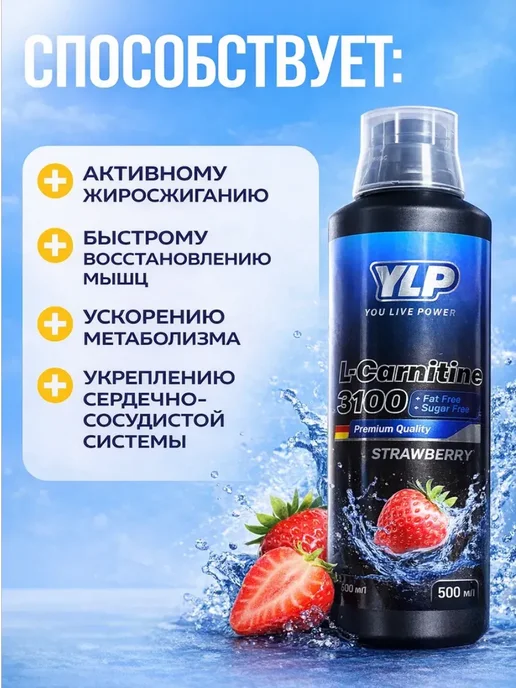 YLP Л-Карнитинн жиросжигатель для похудении, 500 мл, фото 2
