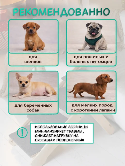 АлифкинВуд Лестница для собак пандус универсальная складная 40-50 см, бежевый, фото 6