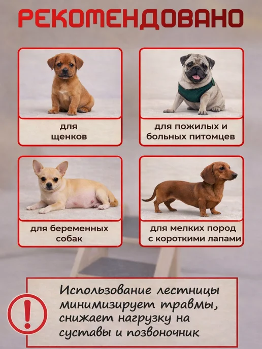АлифкинВуд Лестница для собак пандус универсальная складная 40-50 см, вариант, фото 6