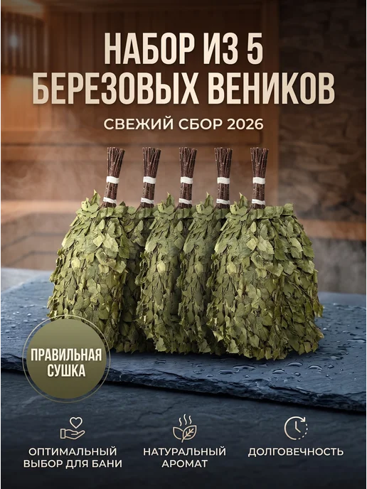 Скобские веники Березовые веники для бани 5 шт, 5 шт, фото 2