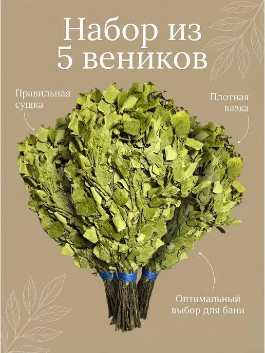Скобские веники Березовые веники для бани 5 шт, 5 шт, фото 3