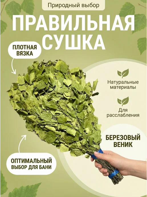 Скобские веники Березовые веники для бани 5 шт, 5 шт, фото 4