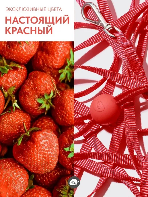 IN GOOD COMPANY Поводок регулируемый для собак мелких пород (S) 3м, 3 м, фото 2