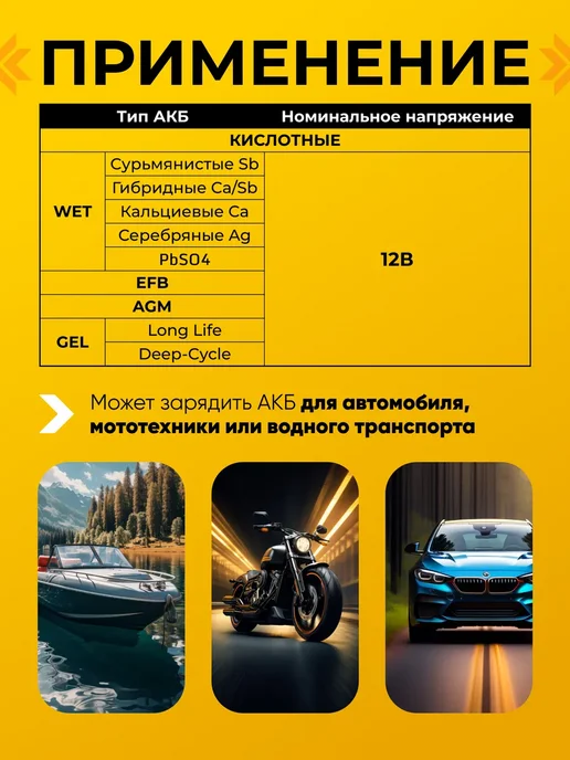 НПП ОРИОН Предпусковое зарядное устройство для автомобиля 12в Вымпел37, вариант, фото 2