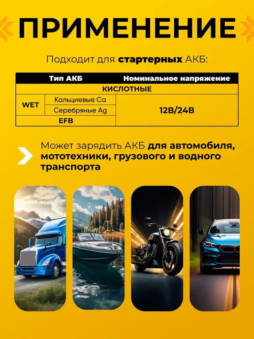 НПП ОРИОН Предпусковое зарядное устройство для авто 12-24В Вымпел 47, вариант, фото 2