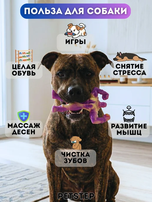 PETSTEP Жевательная игрушка для собак из нейлона Бык, вариант, фото 3