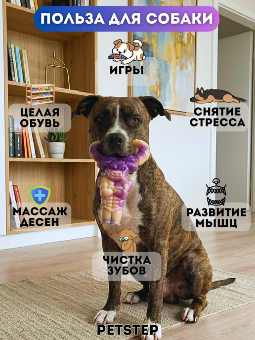 PETSTEP Жевательная игрушка для собак из нейлона Бык, фиолетовый, фото 3