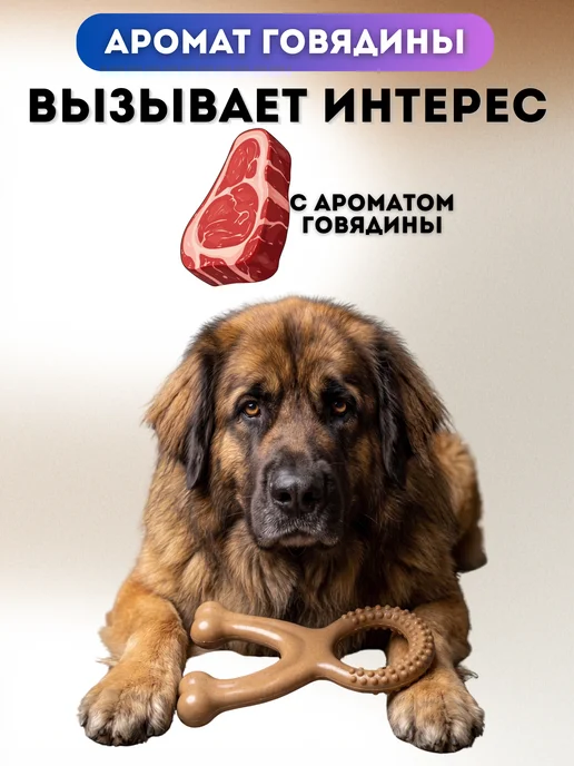 PETSTEP Жевательная игрушка для собак из нейлона Кость с ручкой, коричневый, фото 5