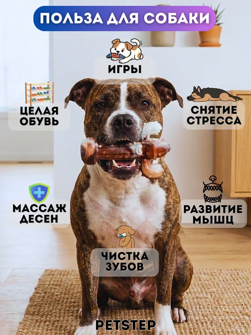 PETSTEP Игрушка для собак крупных пород для грызения Кактус, белый, фото 3