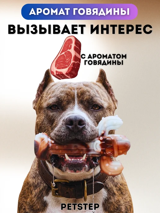 PETSTEP Игрушка для собак крупных пород для грызения Кактус, белый, фото 5