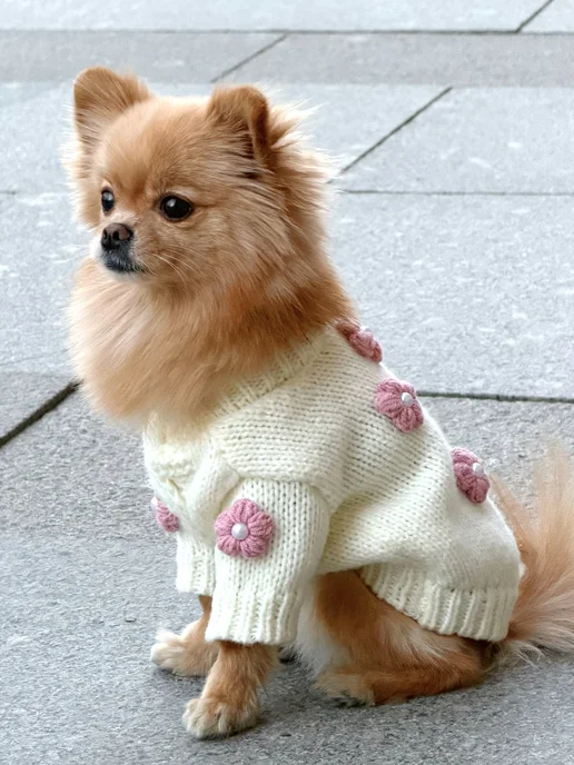 Pawsy Одежда для собак кошек мелких пород, свитер для собак, белый