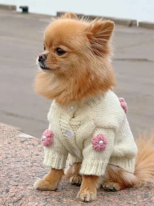 Pawsy Одежда для собак кошек мелких пород, свитер для собак, белый, фото 2
