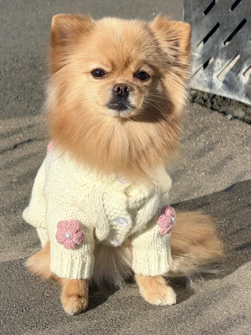 Pawsy Одежда для собак кошек мелких пород, свитер для собак, белый, фото 3