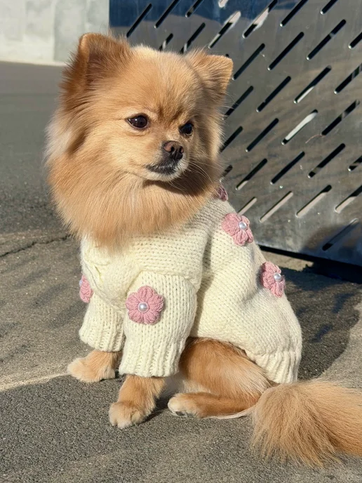 Pawsy Одежда для собак кошек мелких пород, свитер для собак, белый, фото 4