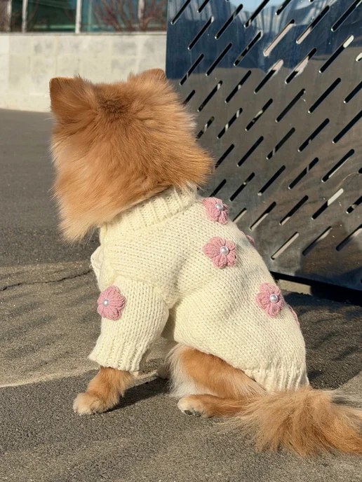 Pawsy Одежда для собак кошек мелких пород, свитер для собак, белый, фото 5