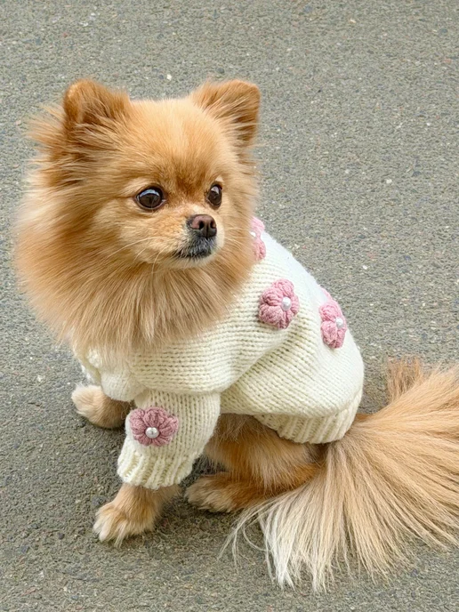 Pawsy Одежда для собак кошек мелких пород, свитер для собак, белый, фото 6