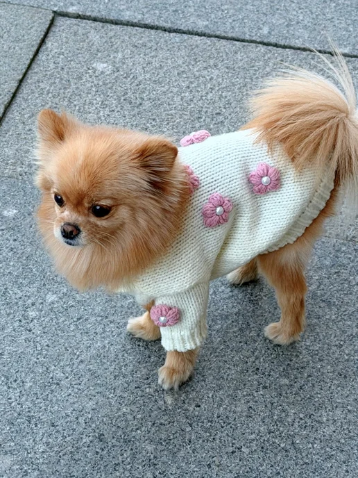Pawsy Одежда для собак кошек мелких пород, свитер для собак, белый, фото 7