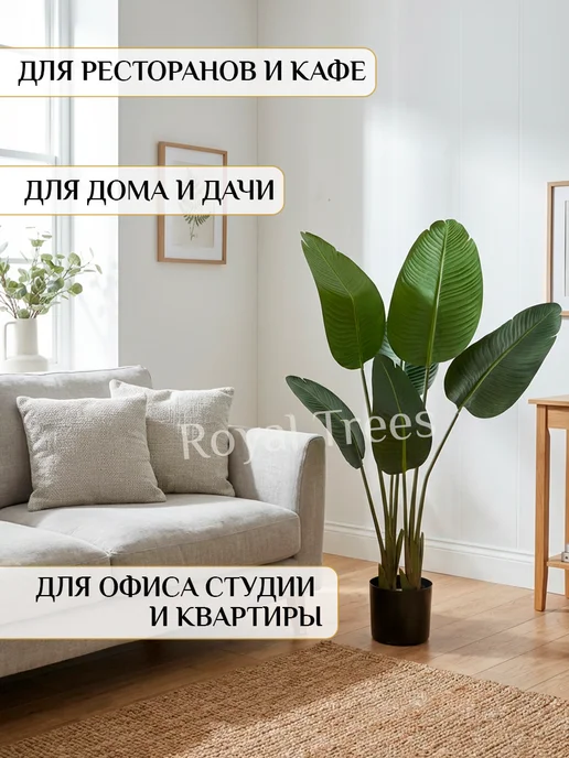 Royal Trees Искусственное дерево Стрелиция, зеленый, фото 3