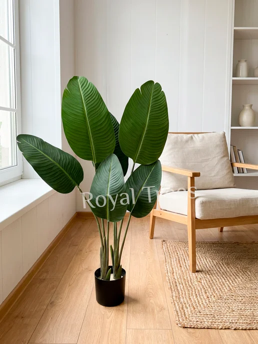 Royal Trees Искусственное дерево Стрелиция, зеленый, фото 4