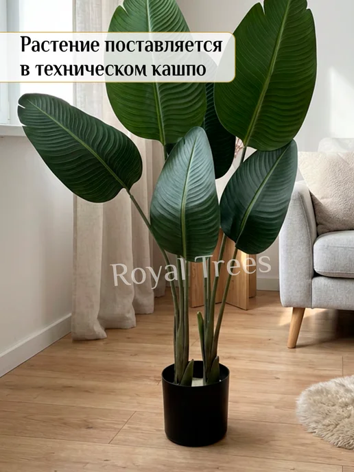 Royal Trees Искусственное дерево Стрелиция, зеленый, фото 5