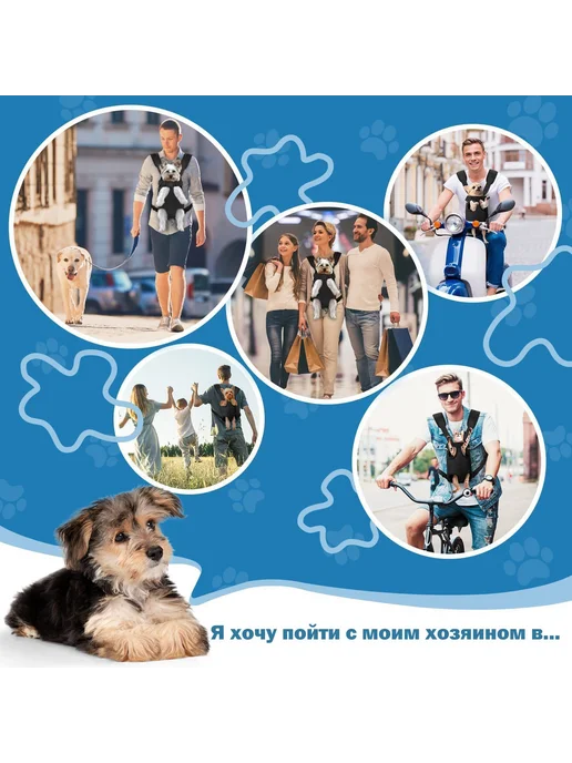 Рюкзак-переноска для собак мелких пород черный матовый M, черный, фото 4