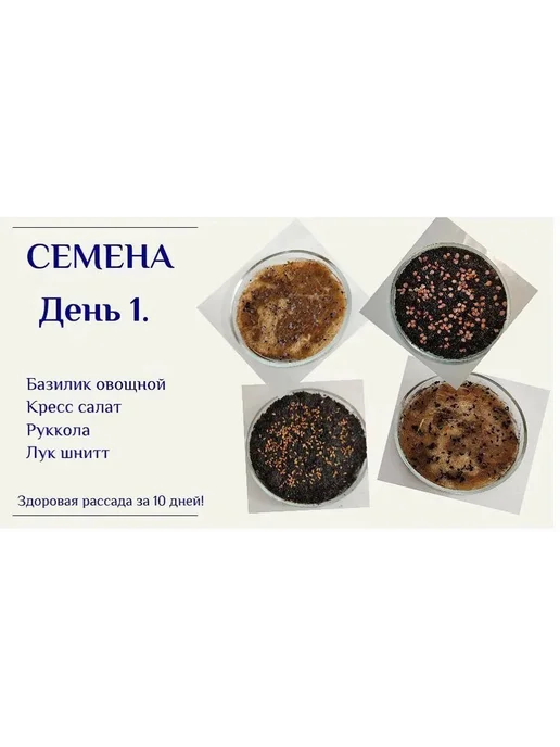 Набор для выращивания Прозрачный, прозрачный, фото 2