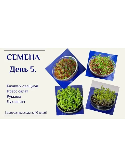 Набор для выращивания Прозрачный, прозрачный, фото 4