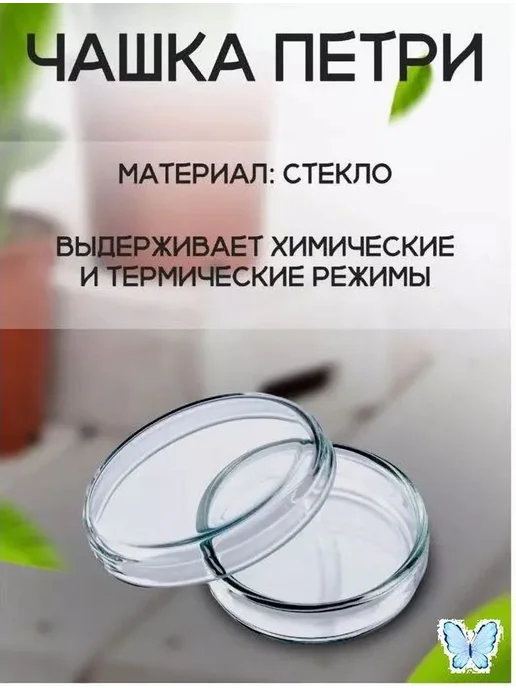 Набор для выращивания Прозрачный, прозрачный, фото 5