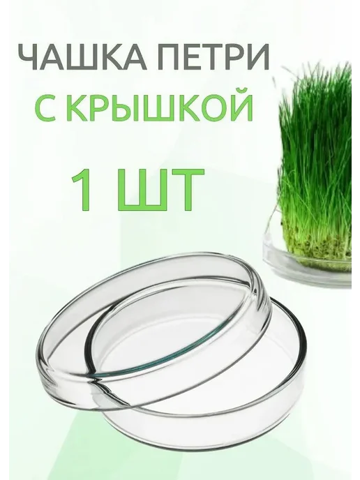 Набор для выращивания Прозрачный, прозрачный, фото 7