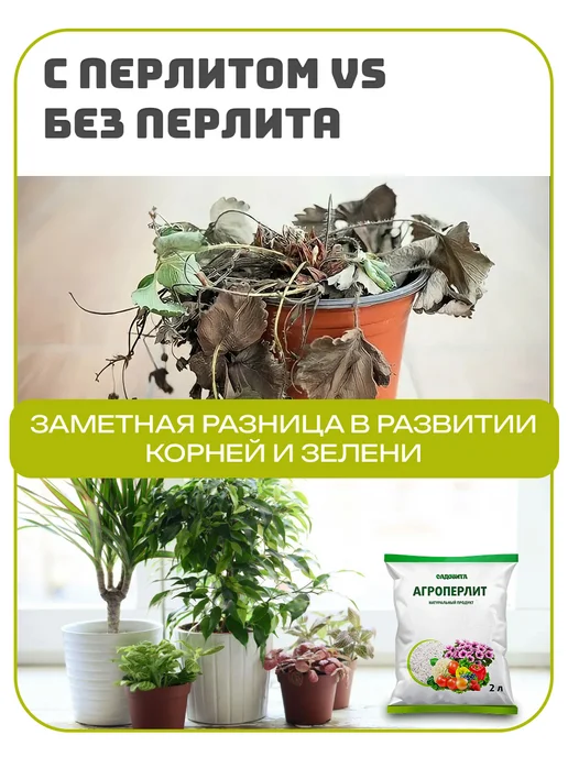 Садовита Перлит для растений, рассады и цветов, агроперлит 5 л, 5 л, фото 5