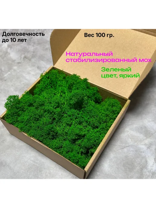Мох стабилизированный ягель 100 гр, 100 г