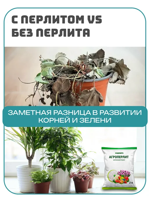 Садовита Перлит для растений комнатных, разрыхлитель грунта 3 л, 3 л, фото 6