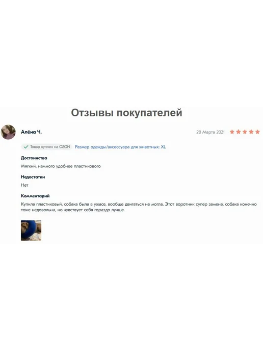 Ветеринарный воротник для животных, пчелка, размер S, синий, фото 2