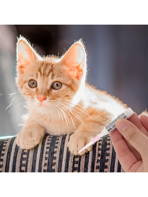 Клей для когтей для кошек 10 шт, 10 шт, фото 4