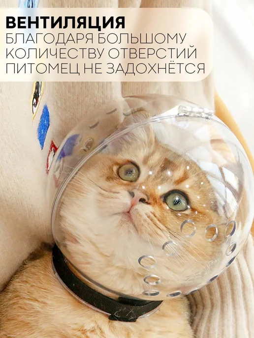 Воротник для животных для кошек и собак L прозрачный, прозрачный