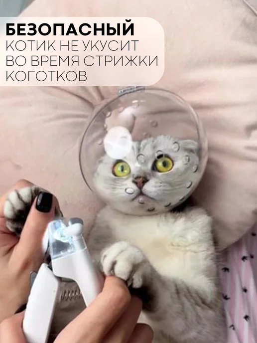 Воротник для животных для кошек и собак L прозрачный, прозрачный, фото 3
