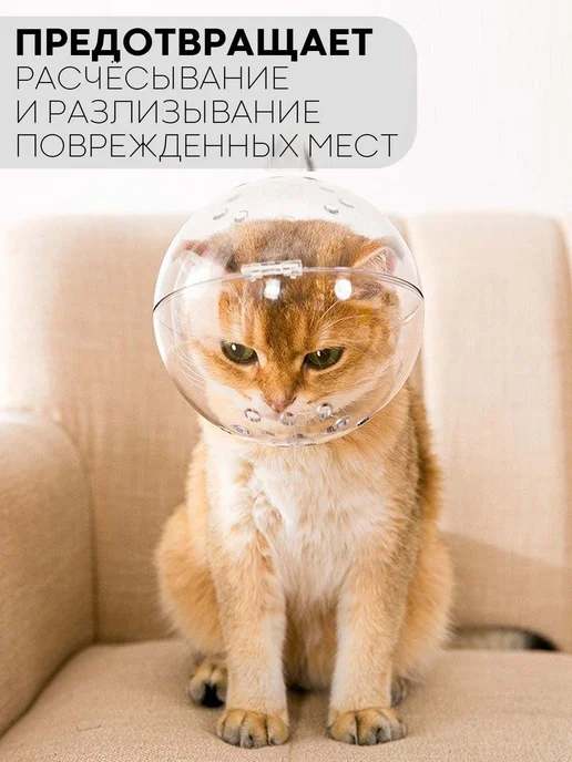 Воротник для животных для кошек и собак L прозрачный, прозрачный, фото 5