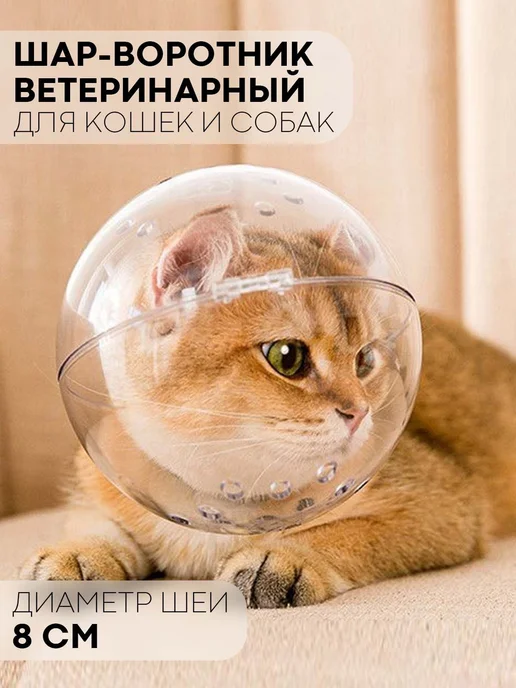 Воротник для животных для кошек и собак L прозрачный, прозрачный, фото 6