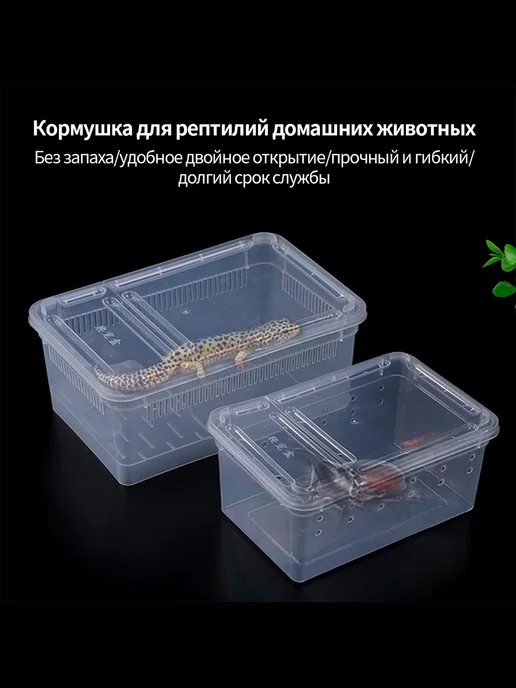 Инкубатор для рептилий 19*12*7 5см Прозрачный, 19x12