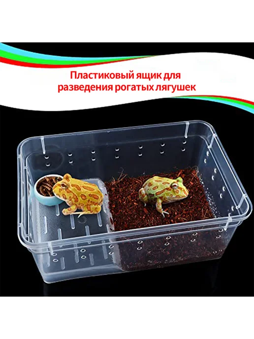 Инкубатор для рептилий 19*12*7 5см Прозрачный, 19x12, фото 2
