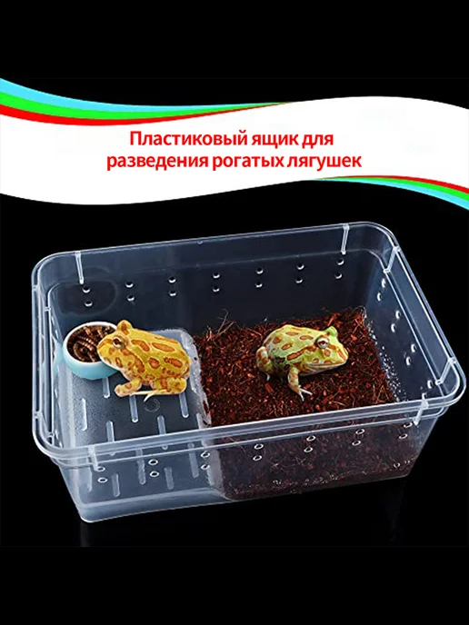 Инкубатор для рептилий 19*12*7 5см Прозрачный, 19x12, фото 5
