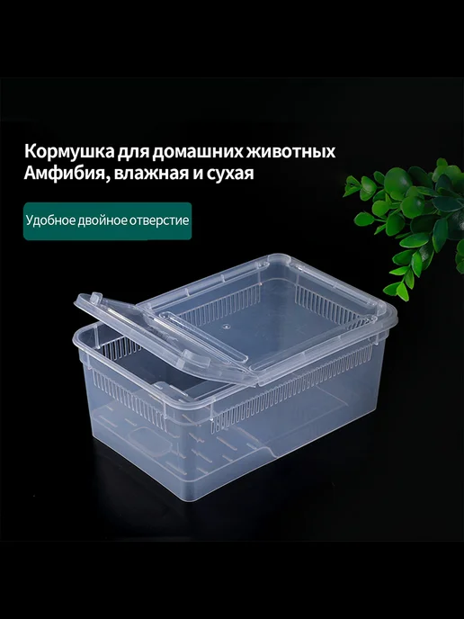 Инкубатор для рептилий 19*12*7 5см Прозрачный, 19x12, фото 7