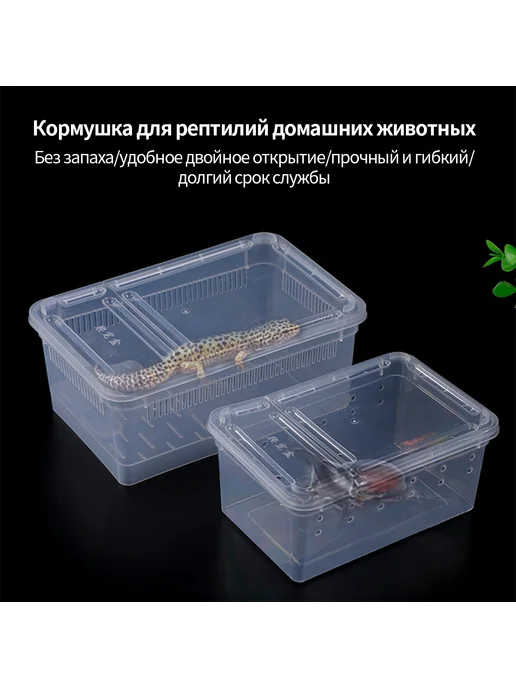 Инкубатор для рептилий 19*12*7 5см Прозрачный, 19x12, фото 8