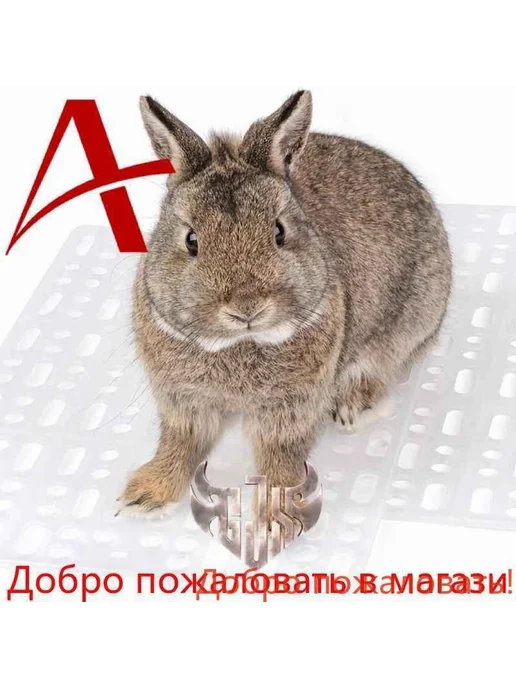 Коврик для клетки Пластиковый 34x25x0 5 см, вариант, фото 3