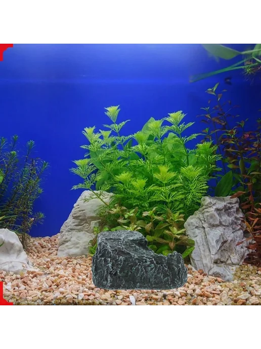 Платформа для купания черепах Каменный сад 13x12x6 см, 13x12x6 см, фото 6