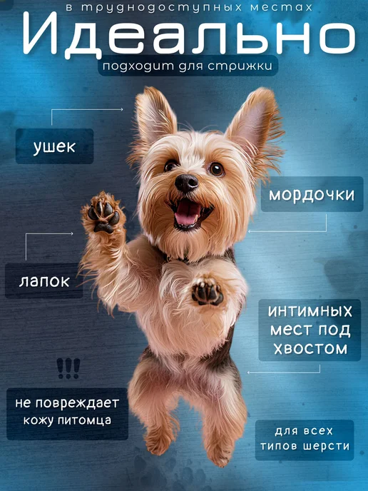 Триммер для стрижки животных Бирюзовый, вариант, фото 6
