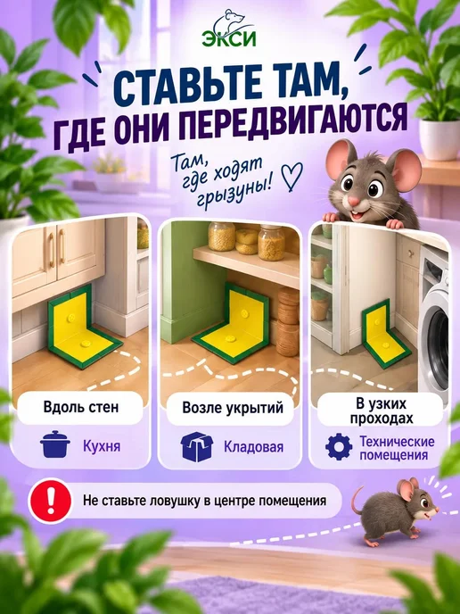 Экси Мышеловка для мышей клеевая ловушка от крыс, вариант, фото 3